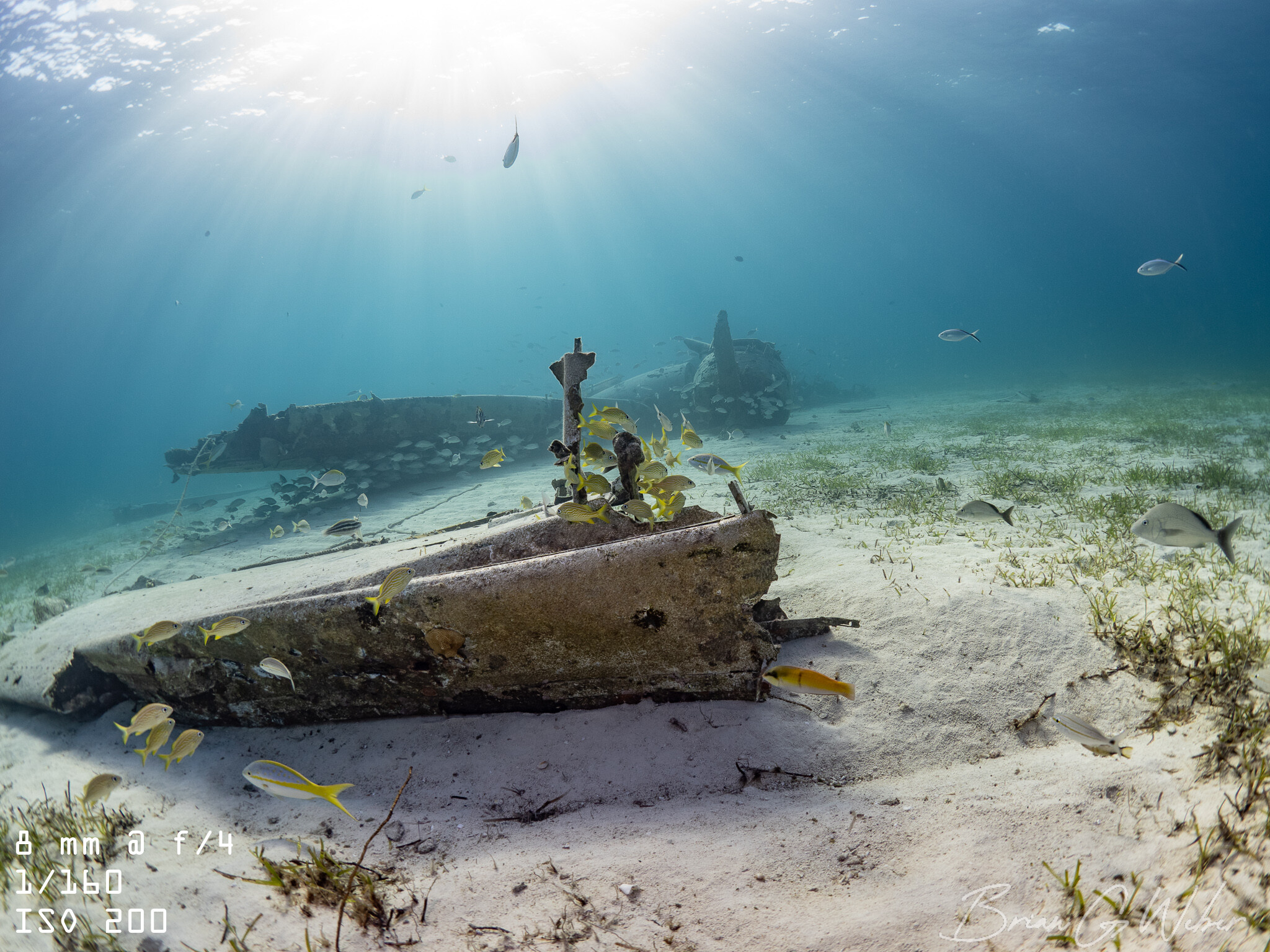 My OM-1 Underwater Photography Rig